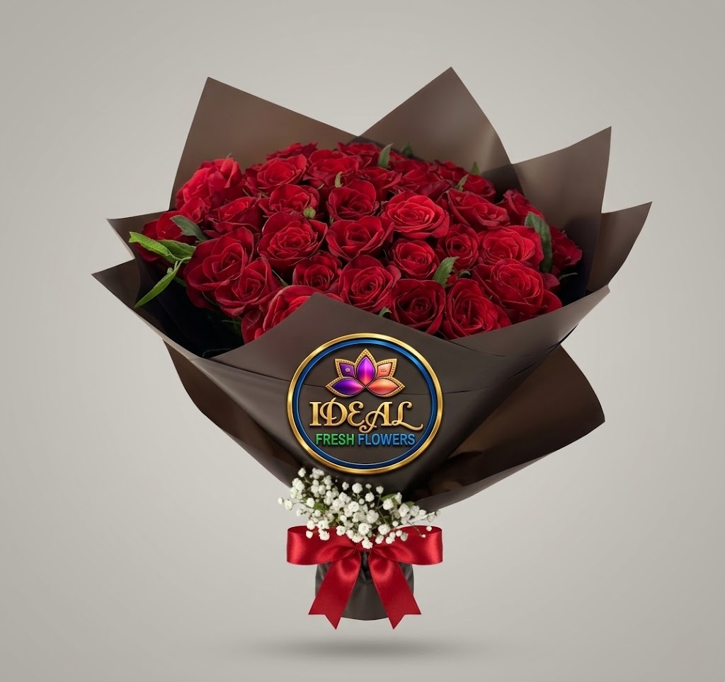 13 Red Rose Bouquet with Red Ribbon in Dark Wrapping by Ideal Fresh Flower - Image 1