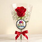 Single Red Rose Bouquet with Baby's Breath and Red Ribbon by Ideal Fresh Flower